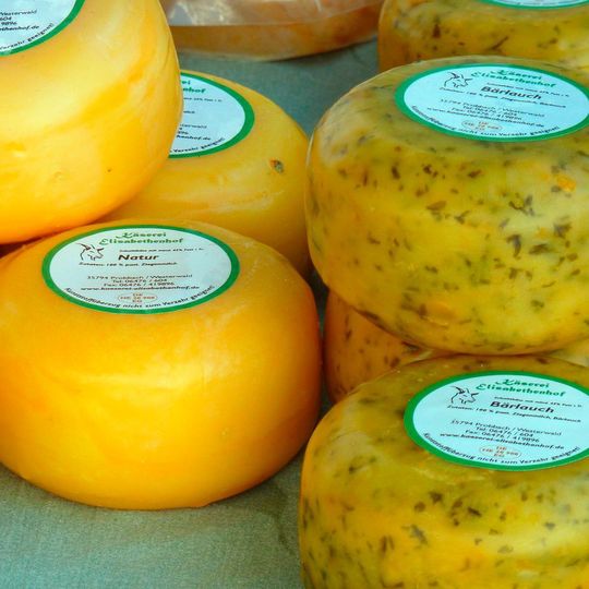 Für den guten Geschmack von Käse sorgen vor allem Mikroorganismen Für den guten Geschmack von Käse sorgen vor allem Mikroorganismen