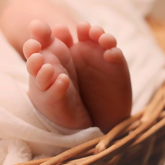 Faszination „Wunder des Lebens“ – wie wird aus einer einzelnen befruchteten Eizelle ein kleiner Mensch mit so unterschiedlichen Strukturen wie Haut, Leber oder Herz? Faszination „Wunder des Lebens“ – wie wird aus einer einzelnen befruchteten Eizelle ein kleiner Mensch mit so unterschiedlichen Strukturen wie Haut, Leber oder Herz?