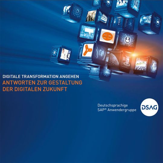 Die DSAG hat einen kostenlosen Digitalisierungs-Wegweiser veröffentlicht. Die DSAG hat einen kostenlosen Digitalisierungs-Wegweiser veröffentlicht.