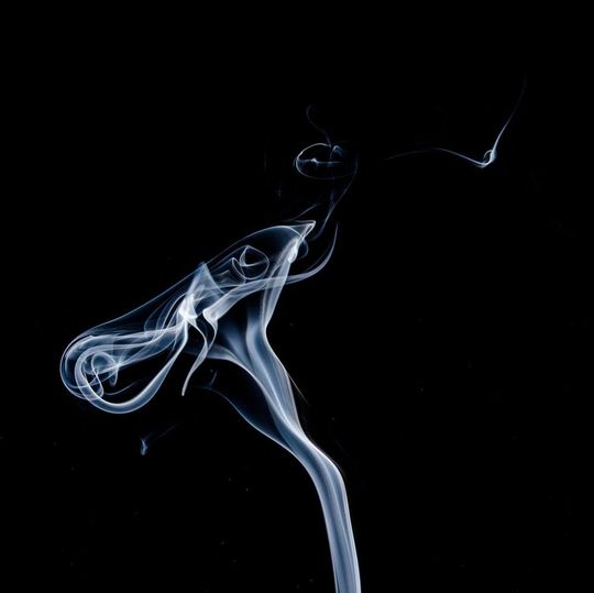 Die videobasierte Softwarelösung „SmokeCatcher“ funktioniert auch ohne direkten Rauchkontakt. Die videobasierte Softwarelösung „SmokeCatcher“ funktioniert auch ohne direkten Rauchkontakt.