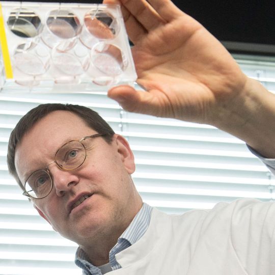 Prof. Dr. Alexander Pfeifer vom Institut für Pharmakologie und Toxikologie der Universität Bonn Prof. Dr. Alexander Pfeifer vom Institut für Pharmakologie und Toxikologie der Universität Bonn