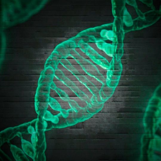 2007 wurde ein Bereich innerhalb eines Gens, des so genannten FTO-Gens, als wichtigster genetischer Kandidat für Übergewicht entdeckt. 2007 wurde ein Bereich innerhalb eines Gens, des so genannten FTO-Gens, als wichtigster genetischer Kandidat für Übergewicht entdeckt.