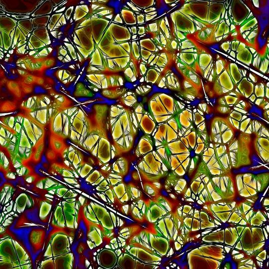 Wie persönliche Relevanz im Gehirn entsteht und welche neuropharmakologischen Mechanismen ihr zugrunde liegen, war bisher nicht bekannt. Wie persönliche Relevanz im Gehirn entsteht und welche neuropharmakologischen Mechanismen ihr zugrunde liegen, war bisher nicht bekannt.