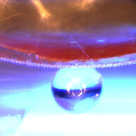 Angestrahlt mit UV-Licht biegt sich das intelligente Haftmaterial. So kann es flache und dreidimensionale Objekte (hier eine Glaskugel mit einem Durchmesser von einem Millimeter) anheben, transportieren und wieder absetzen. Angestrahlt mit UV-Licht biegt sich das intelligente Haftmaterial. So kann es flache und dreidimensionale Objekte (hier eine Glaskugel mit einem Durchmesser von einem Millimeter) anheben, transportieren und wieder absetzen.