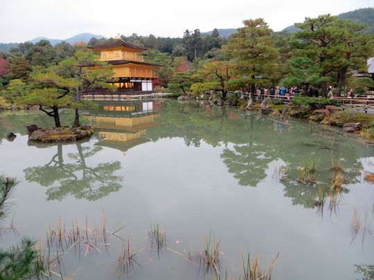 Der goldene Pavillon Tempel ist selbst und vielleicht gerade im Herbst eine Reise wert.