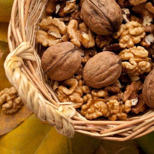 Walnüsse können das Wachstum von Krebszellen im Darm reduzieren. Das haben Ernährungswissenschaftler in einer aktuellen Studie belegt. Walnüsse können das Wachstum von Krebszellen im Darm reduzieren. Das haben Ernährungswissenschaftler in einer aktuellen Studie belegt.