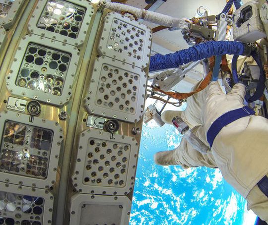 Grün- und Blaualgen wurden in diesen Halterungen auf der Außenseite der Weltraumstation ISS über eineinhalb Jahre den Raumbedingungen ausgesetzt. Grün- und Blaualgen wurden in diesen Halterungen auf der Außenseite der Weltraumstation ISS über eineinhalb Jahre den Raumbedingungen ausgesetzt.