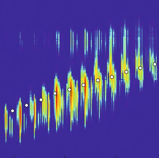 Ausschnitte aus einem zweidimensionale Kontourplot der massenspektrometrischen Detektion. ... Ausschnitte aus einem zweidimensionale Kontourplot der massenspektrometrischen Detektion. ...