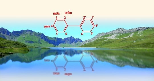 Eine neue GC/MS-Methode bestimmt neun polychlorierte Biphenyle in Oberflächenwasser. Eine neue GC/MS-Methode bestimmt neun polychlorierte Biphenyle in Oberflächenwasser.