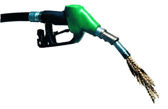 Die Kontrolle der Zusammensetzung von Biodiesel vor der Verarbeitung ist essentiell. Die Kontrolle der Zusammensetzung von Biodiesel vor der Verarbeitung ist essentiell.