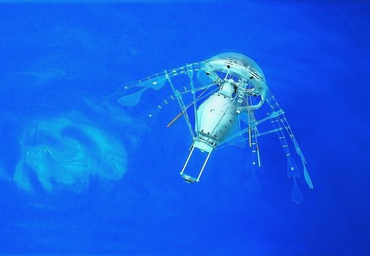 Der Aqua-Jelly ist in Aufbau und Kinematik dem Bewegungsmodell des biologischen Vorbilds, der Qualle, nachempfunden.Bild: Festo Der Aqua-Jelly ist in Aufbau und Kinematik dem Bewegungsmodell des biologischen Vorbilds, der Qualle, nachempfunden.Bild: Festo