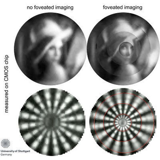Vergleich zwischen Abbildung ohne "Foveated Imaging" (links) und mit "Foveated Imaging" (rechts). Die oberen Abbildungen verwenden das geläufige Testbild "Lena", die unteren ein Sterntestbild von Siemens. Vergleich zwischen Abbildung ohne "Foveated Imaging" (links) und mit "Foveated Imaging" (rechts). Die oberen Abbildungen verwenden das geläufige Testbild "Lena", die unteren ein Sterntestbild von Siemens.