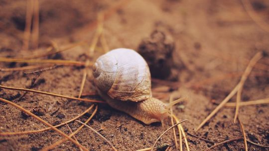 Die Personal- und Organisationsentwicklung mittelständischer Unternehmen kommt oft in Sachen Entwicklung des Gesamtunternehmens nicht hinterher. Die Personal- und Organisationsentwicklung mittelständischer Unternehmen kommt oft in Sachen Entwicklung des Gesamtunternehmens nicht hinterher.