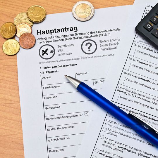 Ist die Software der Arbeitsagentur am Formular-Dschungel gescheitert? Ist die Software der Arbeitsagentur am Formular-Dschungel gescheitert?