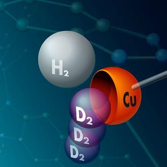 Sammelbecken für schweren Wasserstoff: An Kupferatome in einer Metall-organischen Gerüstverbindung binden bevorzugt Moleküle der schweren Wasserstoffisotope Deuterium und Tritium – die Metallatome sind hier daher symbolisch als Schalen dargestellt. (Ausschnitt) Sammelbecken für schweren Wasserstoff: An Kupferatome in einer Metall-organischen Gerüstverbindung binden bevorzugt Moleküle der schweren Wasserstoffisotope Deuterium und Tritium – die Metallatome sind hier daher symbolisch als Schalen dargestellt. (Ausschnitt)
