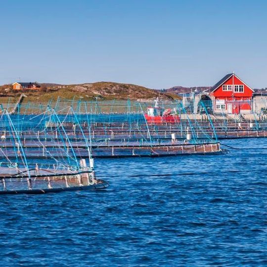 Norwegian fish farm in a fjord near Trondheim, Norway Norwegian fish farm in a fjord near Trondheim, Norway