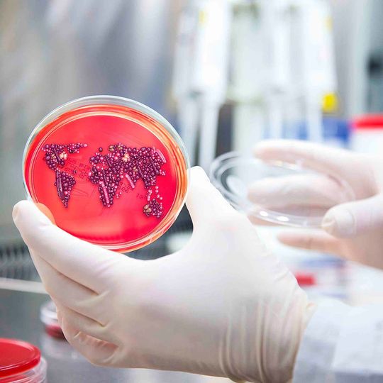 Weltweit werden gegen Antibiotika resistente Bakterien zum Problem Weltweit werden gegen Antibiotika resistente Bakterien zum Problem