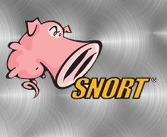SNORT ist das am häufigsten eingesetzte Intrusion Detection und Intrusion Prevention System weltweit. SNORT ist das am häufigsten eingesetzte Intrusion Detection und Intrusion Prevention System weltweit.