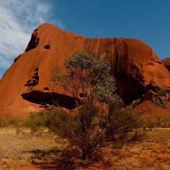 Die Ureinwohner Australiens, die Aborigenes, sind dem Land, das sie besiedeln, in besonderer Weise verbunden. Die Ureinwohner Australiens, die Aborigenes, sind dem Land, das sie besiedeln, in besonderer Weise verbunden.
