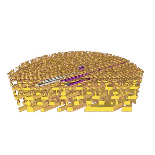 3D-Darstellung der inneren Struktur eines Mikrochips (Prozessor der Firma Intel). Gezeigt ist der Blick direkt auf die Ebene, in der sich die Transistoren befinden. Das Material, das in Gelb dargestellt ist, ist Kupfer – sichtbar sind die Schaltverbindungen des Prozessors, die die einzelnen Transistoren miteinander verbinden. Zur Verdeutlichung wurden einige Verbindungen eingefärbt, deren Anschlüsse durch das untersuchte Volumen verfolgt werden können. Die einzelnen gezeigten Leitungen sind rund 45 Nanometer breit; insgesamt wurde ein Stück eines Prozessors mit rund 10 Mikrometer Durchmesser untersucht. Das Bild wurde mithilfe von Messungen mit Röntgenstrahlen an der Synchrotron Lichtquelle Schweiz SLS des Paul Scherrer Instituts erstellt. 3D-Darstellung der inneren Struktur eines Mikrochips (Prozessor der Firma Intel). Gezeigt ist der Blick direkt auf die Ebene, in der sich die Transistoren befinden. Das Material, das in Gelb dargestellt ist, ist Kupfer – sichtbar sind die Schaltverbindungen des Prozessors, die die einzelnen Transistoren miteinander verbinden. Zur Verdeutlichung wurden einige Verbindungen eingefärbt, deren Anschlüsse durch das untersuchte Volumen verfolgt werden können. Die einzelnen gezeigten Leitungen sind rund 45 Nanometer breit; insgesamt wurde ein Stück eines Prozessors mit rund 10 Mikrometer Durchmesser untersucht. Das Bild wurde mithilfe von Messungen mit Röntgenstrahlen an der Synchrotron Lichtquelle Schweiz SLS des Paul Scherrer Instituts erstellt.