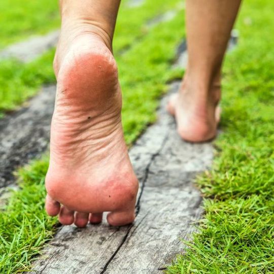 Der Active Office Floor macht aus dem Fußboden einen Waldboden. Der Active Office Floor macht aus dem Fußboden einen Waldboden.