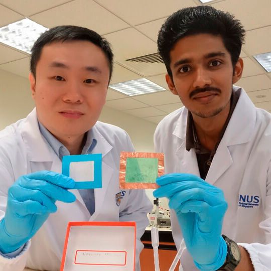 Assistant Professor Tan Swee Ching (left), Mr Sai Kishore Ravi (right) and their team from the National University of Singapore's Faculty of Engineering has developed a novel nanofibre solution. Assistant Professor Tan Swee Ching (left), Mr Sai Kishore Ravi (right) and their team from the National University of Singapore's Faculty of Engineering has developed a novel nanofibre solution.