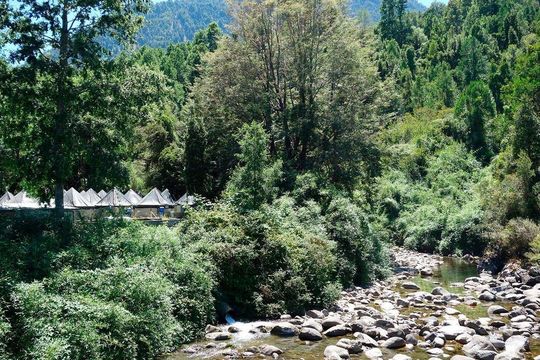 Lachs-Aquakultur am Rio Niltre, einem kleinen Fluss in Chile. Hier wird die jüngste Generation der Lachse aufgezogen. Die Abwässer werden durch ein Rohr (Bildmitte) in den Fluss geleitet.