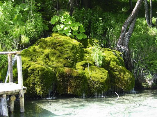 Plitvicer Seen in Kroatien: Nachhaltige Entwicklung bedeutet auch langfristigen Schutz der aquatischen Natur. Plitvicer Seen in Kroatien: Nachhaltige Entwicklung bedeutet auch langfristigen Schutz der aquatischen Natur.