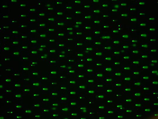 Nahaufnahme eines Comet Chip Arrays (4-fach vergrößert) Nahaufnahme eines Comet Chip Arrays (4-fach vergrößert)