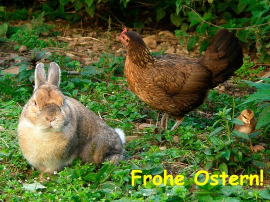 Oster-Tekkies: So versüßen Sie sich die Ostertage Oster-Tekkies: So versüßen Sie sich die Ostertage