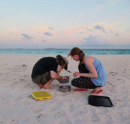 Am Strand der Insel Vavvaru sieben Bayreuther Studierende den Sand aus. Nur Partikel, die größer als ein Millimeter sind, werden später im Labor auf der Insel untersucht. Am Strand der Insel Vavvaru sieben Bayreuther Studierende den Sand aus. Nur Partikel, die größer als ein Millimeter sind, werden später im Labor auf der Insel untersucht.