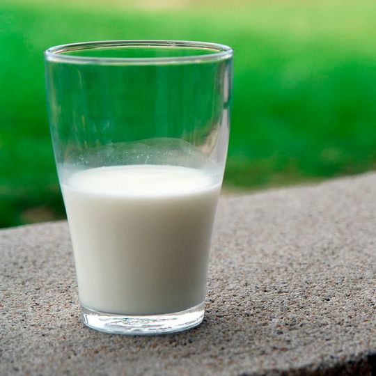 In Bakterien, die natürlicherweise in Kuhmilch vorkommen können, haben Forschende der Universität Bern ein Antibiotikaresistenz-Gen entdeckt. In Bakterien, die natürlicherweise in Kuhmilch vorkommen können, haben Forschende der Universität Bern ein Antibiotikaresistenz-Gen entdeckt.