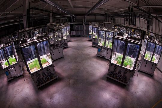 Das Ecotron besteht aus 24 Versuchskammern, in denen künftig unter kontrollierten Bedingungen die Wechselwirkungen im Nahrungsnetz untersucht werden.