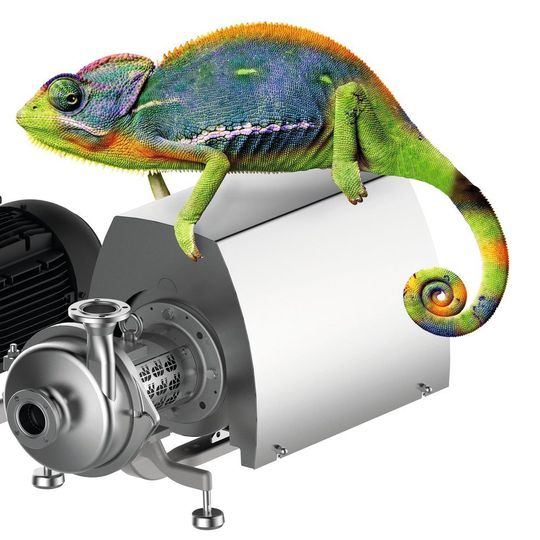 Versatile and adaptable: The new hygienic pumps GEA Hilge Hygia stand out thanks to a high degree of flexibility. Versatile and adaptable: The new hygienic pumps GEA Hilge Hygia stand out thanks to a high degree of flexibility.