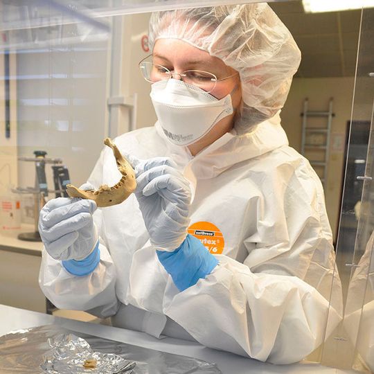 Verena Schünemann bei paläogenetischen Untersuchungen an der Universität Tübingen. (Ausschnitt) Verena Schünemann bei paläogenetischen Untersuchungen an der Universität Tübingen. (Ausschnitt)