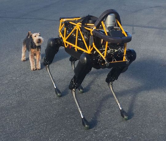 Der Roboter Spot imitiert einen Hund. Jetzt gehören die Roboter von Boston Dynamics zum japanischen Konzern Softbank. Der Roboter Spot imitiert einen Hund. Jetzt gehören die Roboter von Boston Dynamics zum japanischen Konzern Softbank.