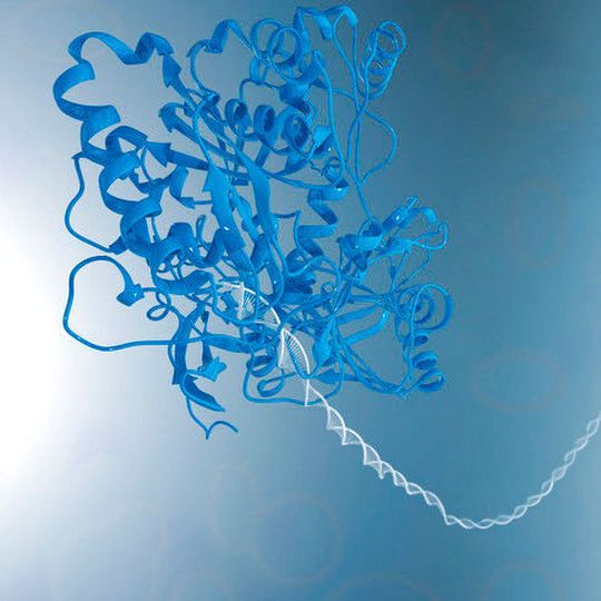 Im Vordergrund die 3D-Struktur des untersuchten Proteins (Argonautenprotein), ... (Ausschnitt) Im Vordergrund die 3D-Struktur des untersuchten Proteins (Argonautenprotein), ... (Ausschnitt)