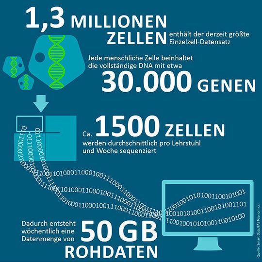Die Zahl im Quartal beschäftigt sich dieses Mal mit Einzelzellsequenzierung. Dabei fallen riesige Datenmengen an. Die Zahl im Quartal beschäftigt sich dieses Mal mit Einzelzellsequenzierung. Dabei fallen riesige Datenmengen an.