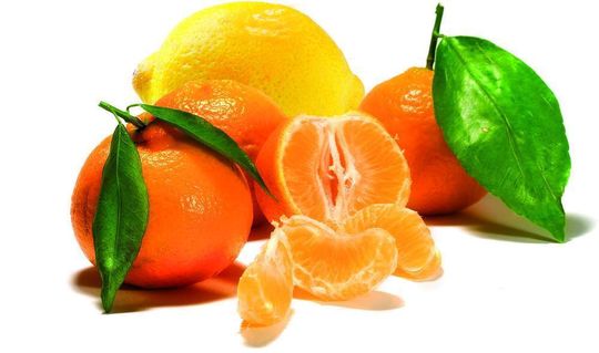 1 Zitrusfrüchten wird ein hoher Gehalt an Antioxidantien nachgesagt. 1 Zitrusfrüchten wird ein hoher Gehalt an Antioxidantien nachgesagt.