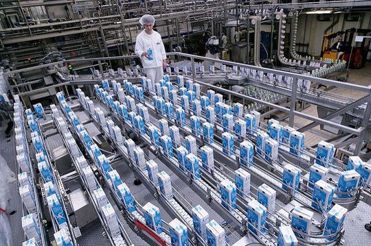 Etwa bei der Verarbeitung von Milch kommt es darauf an, dass eine hohe Anzahl an Gütern den unternehmensinternen Transport schnell, sicher und gekühlt übersteht.