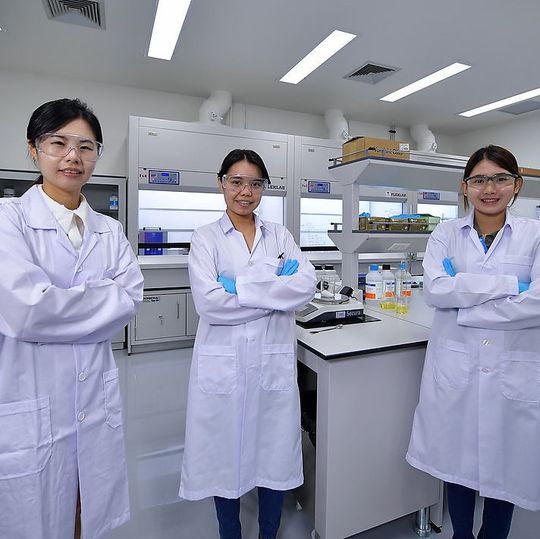 Mehr als 250 Ingenieure und technische Experten arbeiten im Thyssenkrupp Kompetenzzentrum für Oleochemie in Map Ta Phut. Mehr als 250 Ingenieure und technische Experten arbeiten im Thyssenkrupp Kompetenzzentrum für Oleochemie in Map Ta Phut.