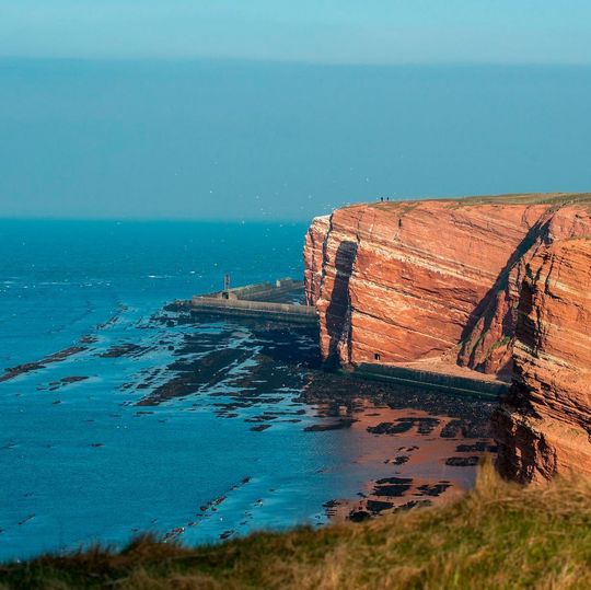 Innerhalb weniger Monate sind auf dem Grund vor der Nordseeinsel Helgoland tausende Krater am Meeresboden entstanden. Innerhalb weniger Monate sind auf dem Grund vor der Nordseeinsel Helgoland tausende Krater am Meeresboden entstanden.