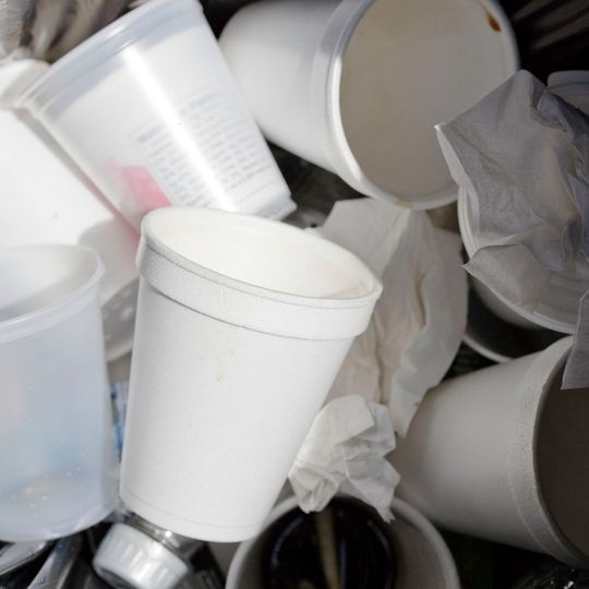 Expandiertes Polystyrol wird häufig als Verpackung von Lebensmitteln verwendet. Expandiertes Polystyrol wird häufig als Verpackung von Lebensmitteln verwendet.