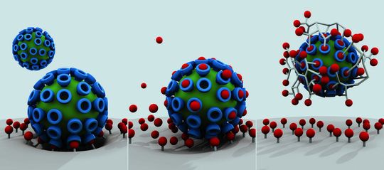 Die Virus-Zellbindung als erster Schritt einer viralen Infektion (l.) und wie sie durch klassische Wirkstoffe teilweise gehemmt wird (M.). Im Gegensatz dazu können multivalente Wirkstoffe (r.) Viren effizient abschirmen und die Infektion blockieren.