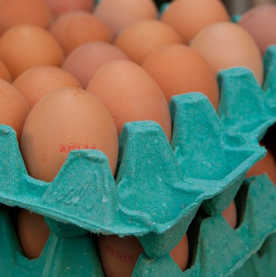 Aktuell machen Eier erneut Schlagzeilen weil in ihnen erhöhte Gehalte des Insektizids Fipronil festgestellt wurden. Aktuell machen Eier erneut Schlagzeilen weil in ihnen erhöhte Gehalte des Insektizids Fipronil festgestellt wurden.