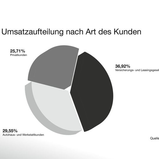 Versicherungs- und Leasinggesellschaften Stellten im vergangen Jahr das umsatzstärkste Segment dar. Versicherungs- und Leasinggesellschaften Stellten im vergangen Jahr das umsatzstärkste Segment dar.