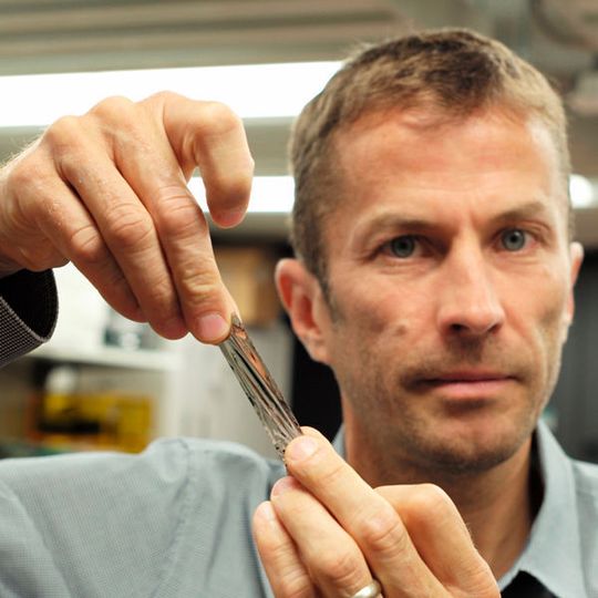 IBM-Forscher haben einen Durchbruch in der Magnetband-Technik erzielt. IBM-Forscher haben einen Durchbruch in der Magnetband-Technik erzielt.