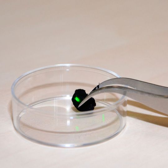 Aerographit kann sehr gut Licht, wie hier das Licht eines Laserpointers, absorbieren – nur eine von vielen Eigenschaften des Materials. Aerographit kann sehr gut Licht, wie hier das Licht eines Laserpointers, absorbieren – nur eine von vielen Eigenschaften des Materials.