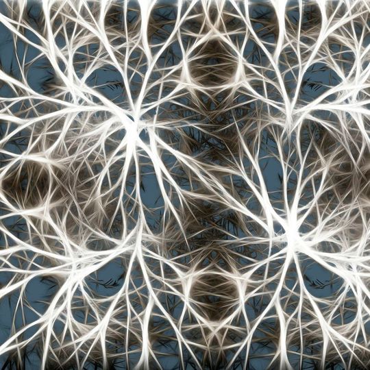 Nachahmung von Gehirnstruktur und Neuronen Nachahmung von Gehirnstruktur und Neuronen