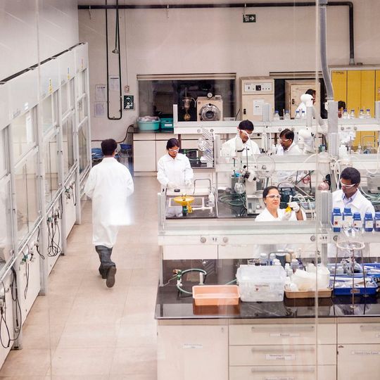 BASF wird Bse Engineering mit für den neuen Prozess maßgeschneiderten Katalysatoren versorgen. (Symbolbild) BASF wird Bse Engineering mit für den neuen Prozess maßgeschneiderten Katalysatoren versorgen. (Symbolbild)